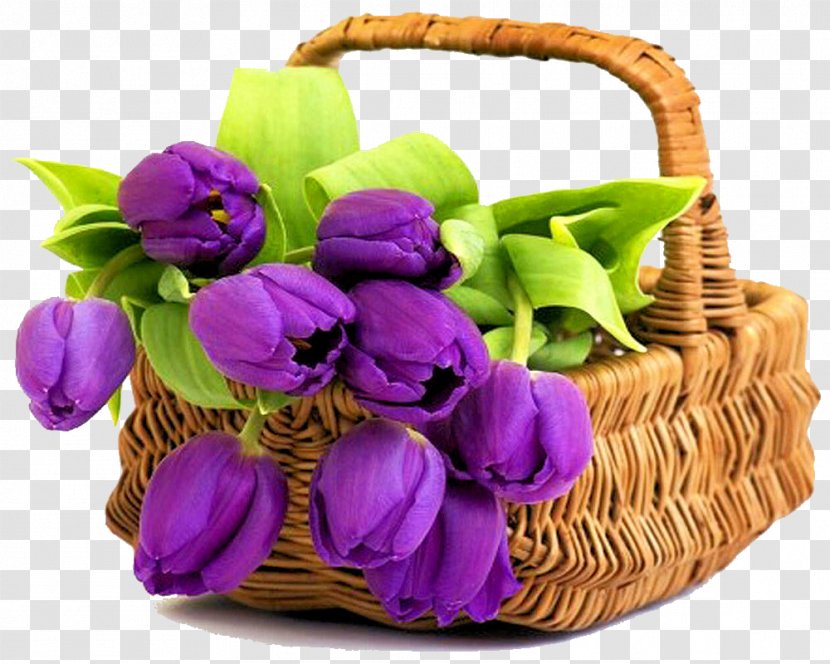 Gift Flower Tulip Color Desktop Wallpaper - Purple - Bed Transparent PNG
