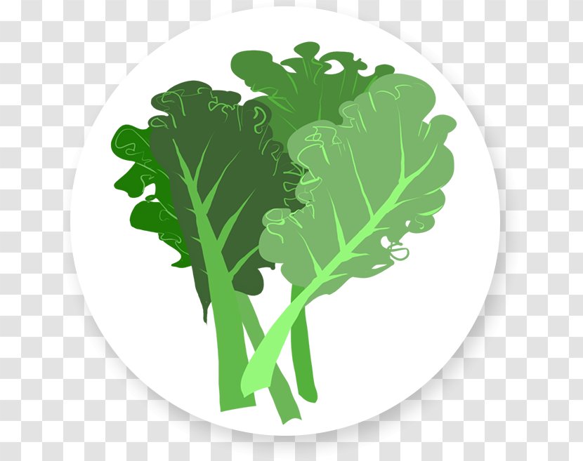 Leaf Vegetable Chard Herb - Kale Transparent PNG