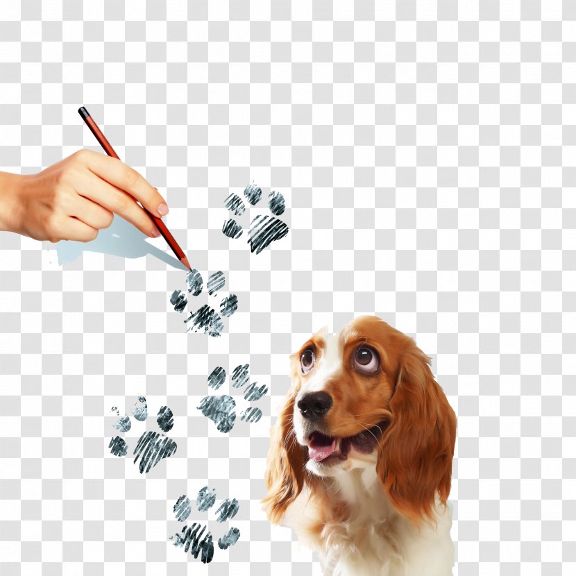 Beagle Puppy Spaniel Paw Illustration - Photography - Hand Painted Dog Prints Transparent PNG