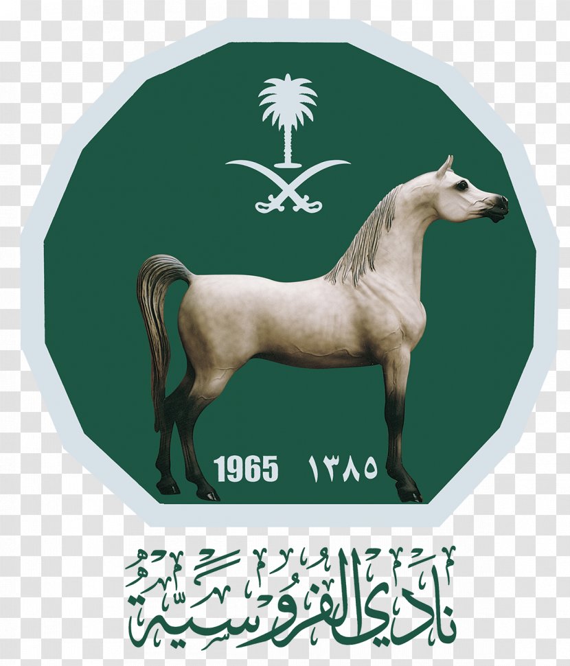 Horse نادي الفروسية في الرياض Equestrian Racing - Mane Transparent PNG