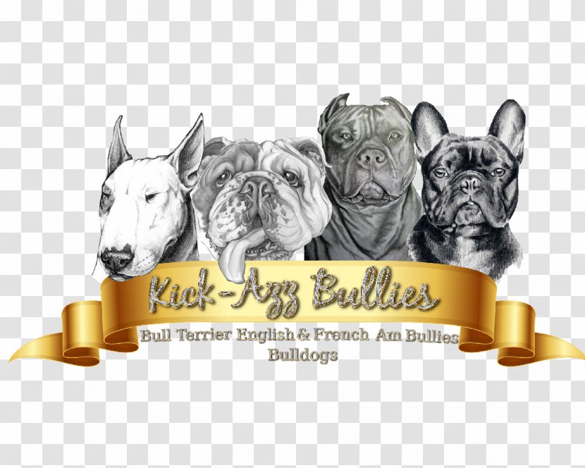 Dog Breed Non-sporting Group French Bulldog Snout - American Bully Transparent PNG