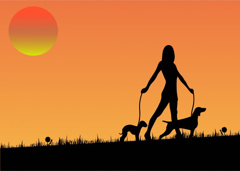 Dog Walking Pet Sitting Woman - Happiness - Sunset Cliparts Transparent PNG