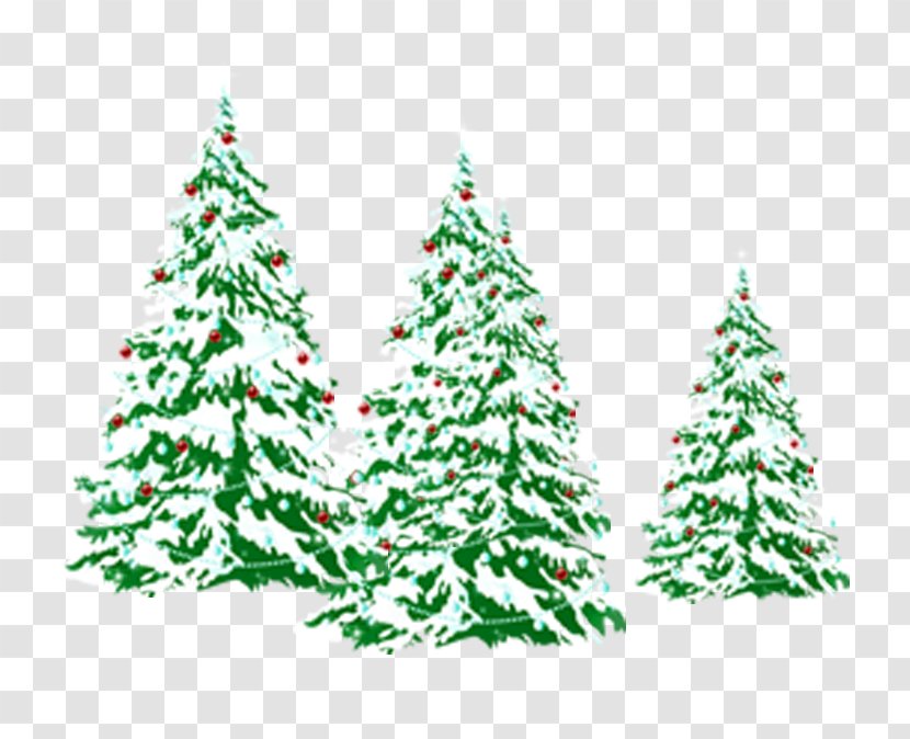 Christmas Tree Clip Art - Holiday - Snow On Pine Transparent PNG