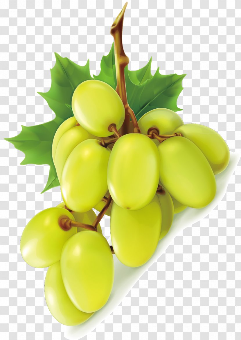 Grape Wine Green Seedless Fruit - Natural Foods - Grapes Transparent PNG