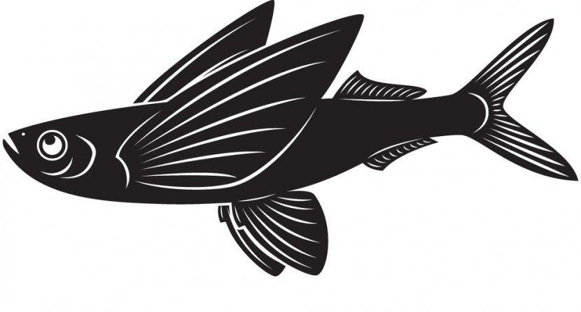 Clip Art Vector Graphics Flying Fish Illustration Image - Marine Mammal - Grace Seasoning Transparent PNG