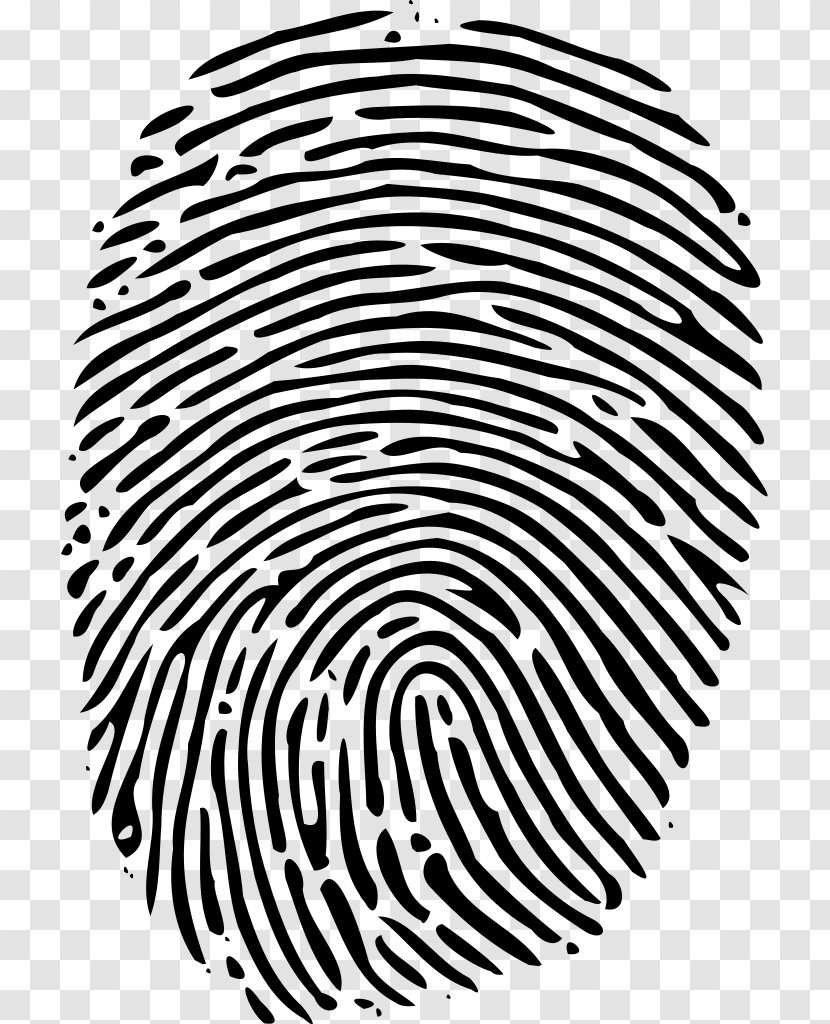 Fingerprint Human Resources Organization Book Management - Fingerprints Transparent PNG