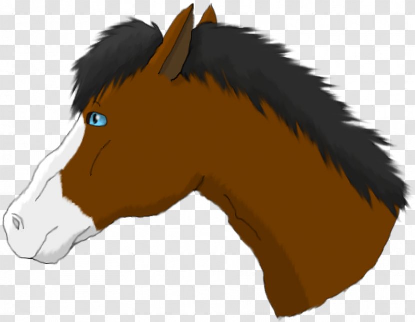 Mane Mustang Halter Pack Animal Donkey - Fur Transparent PNG