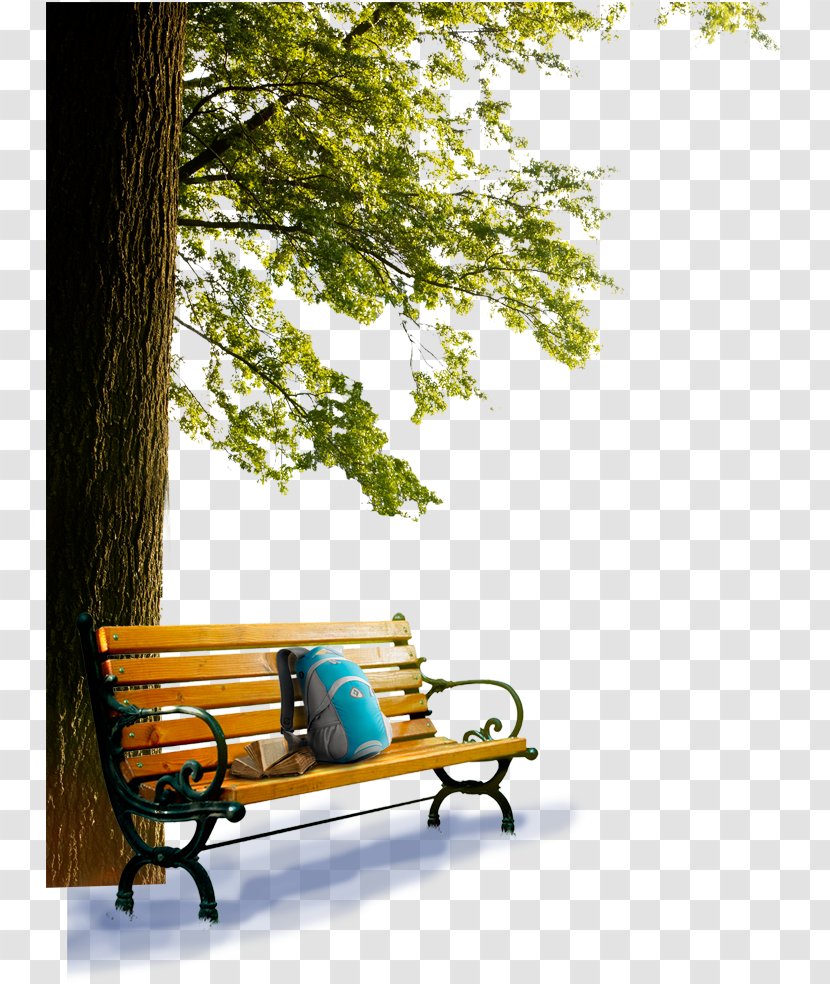 Table Bench Garden Furniture - Outdoor - Park Transparent PNG