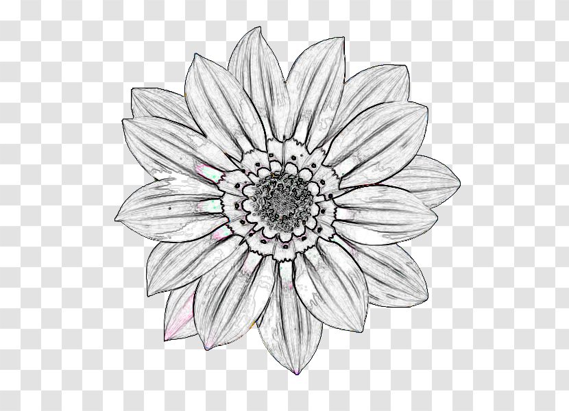 Cut Flowers White Symmetry Sketch - Monochrome Photography - Line Transparent PNG