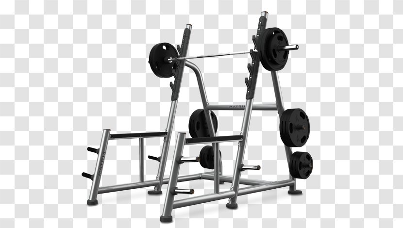 Power Rack Squat Dumbbell Physical Fitness Smith Machine - Gym Squats Transparent PNG