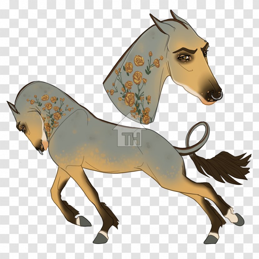 Mustang Foal Stallion Halter Rein - Horse Transparent PNG