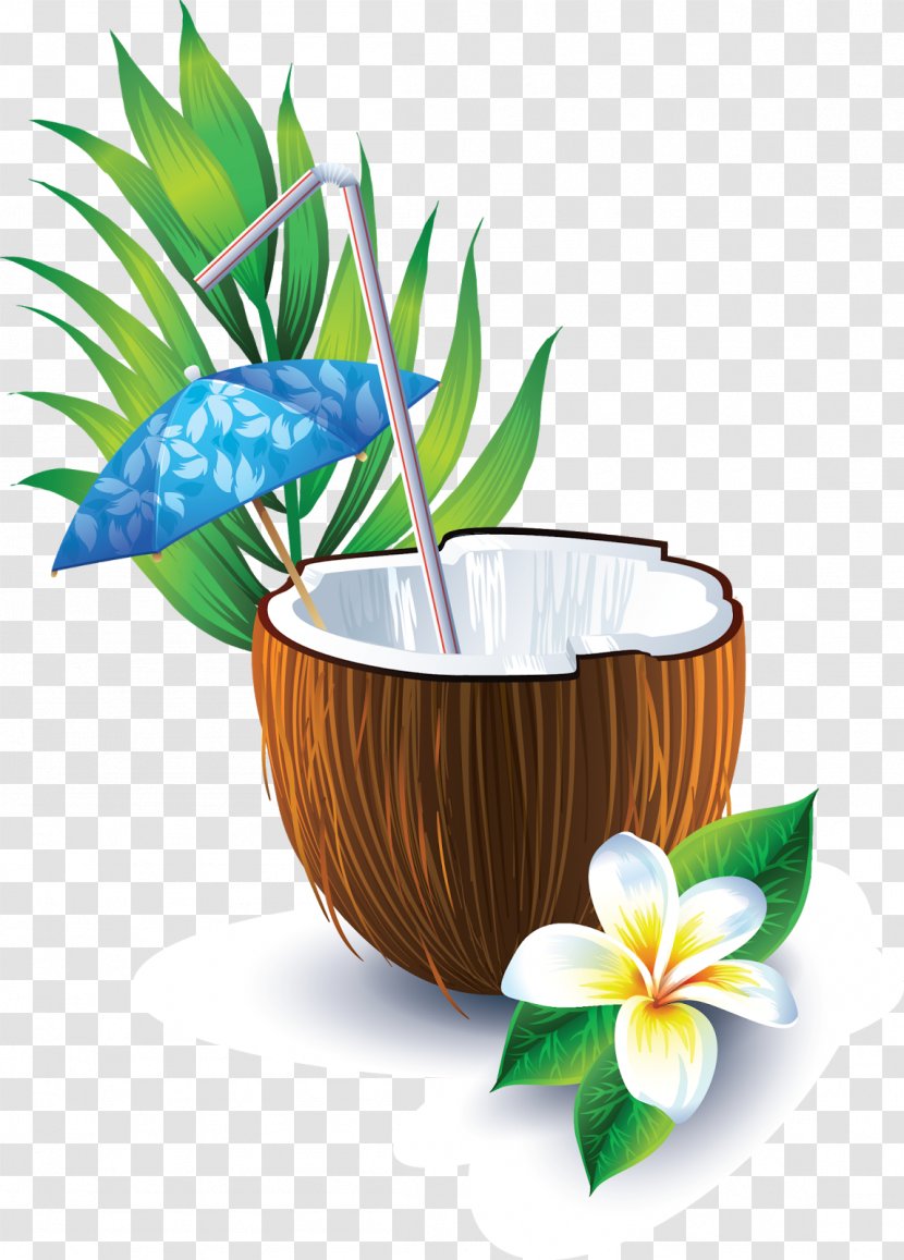 Coconut Water Cocktail Milk - Oil Transparent PNG