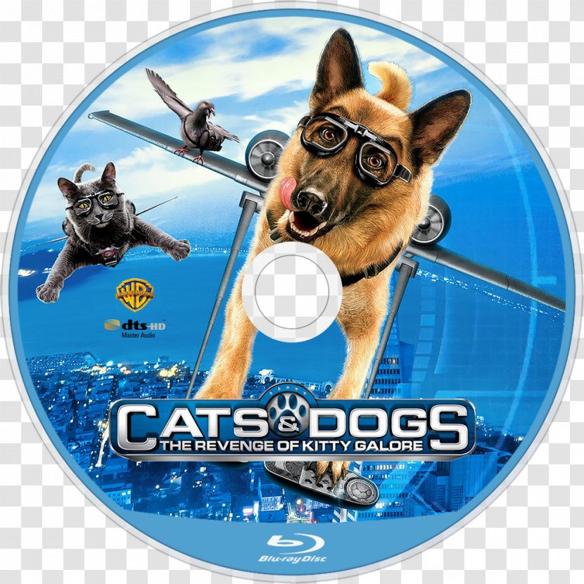 Cats & Dogs YouTube Kitty Galore Film - Cat Transparent PNG