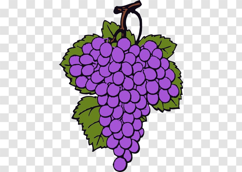 Wine Common Grape Vine Grappa Clip Art - Flower Arranging - Cartoon Grapes Cliparts Transparent PNG
