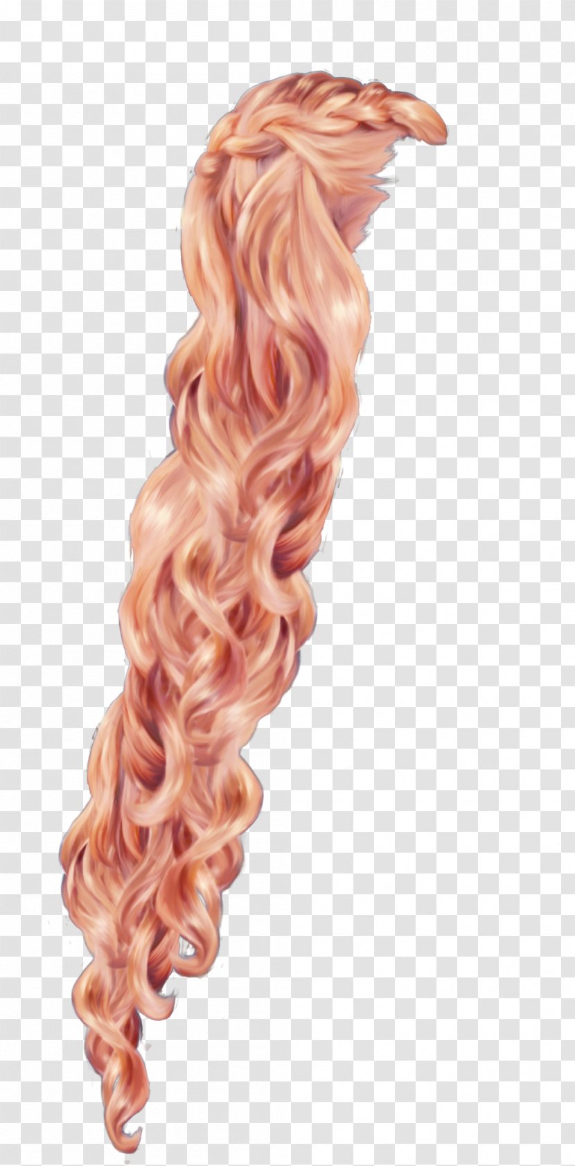 Rapunzel Hair Braid Wig - Human Color Transparent PNG