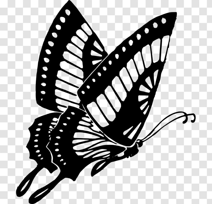 Butterfly Drawing Clip Art - Monochrome Transparent PNG
