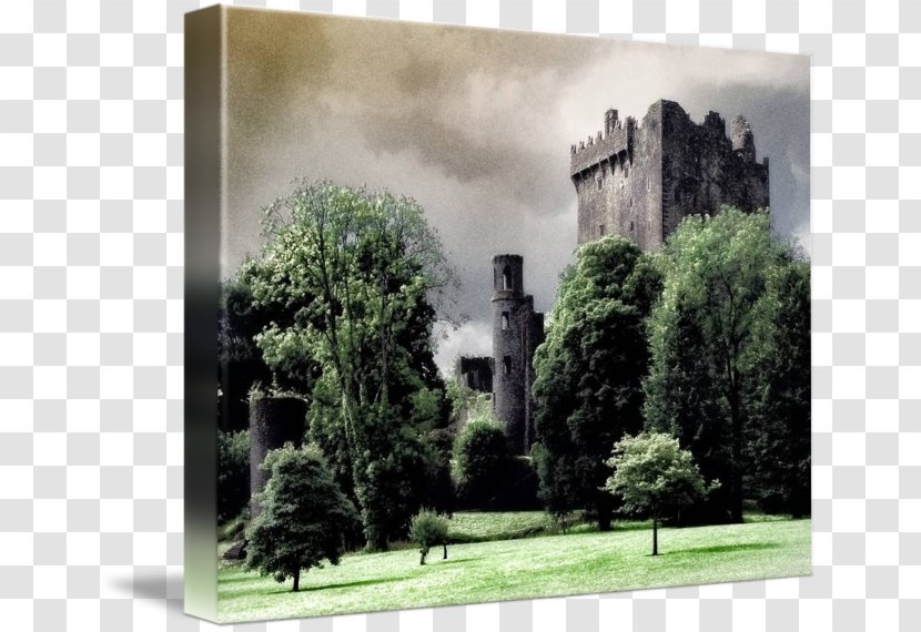 Blarney Castle Painting Gallery Wrap Canvas Art - Estate Transparent PNG