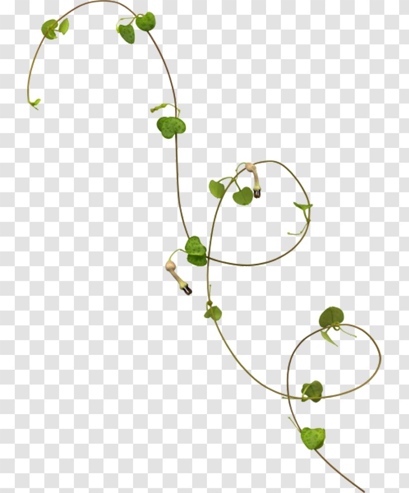 Vine Rattan Calameae - Vines Are Available For Free Download Transparent PNG