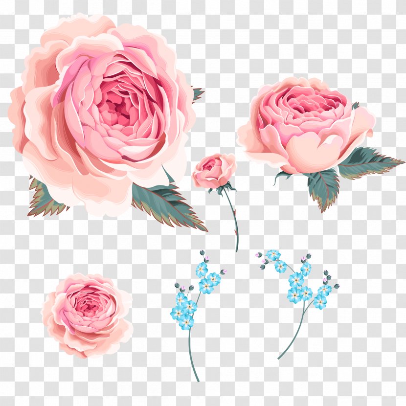 Garden Roses Centifolia Beach Rose Orchids - Wind Rose,Small Orchid Transparent PNG