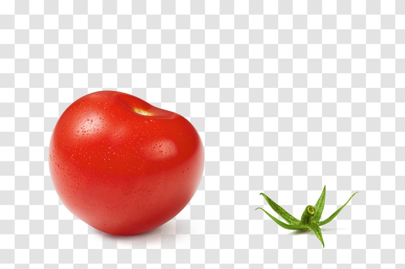 Plum Tomato Bush Cherry Hamburger Food - Fruit Transparent PNG