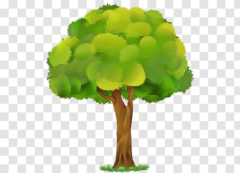 Arbor Day - Green - Plant Stem Transparent PNG