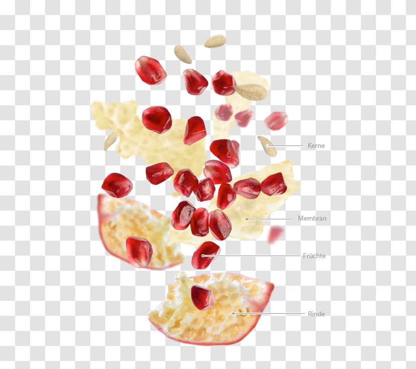 Cranberry Superfood - ZUMO Transparent PNG