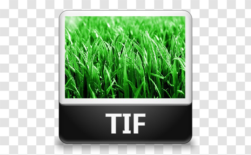 TIFF - Grass - Heart-shaped Tag Transparent PNG