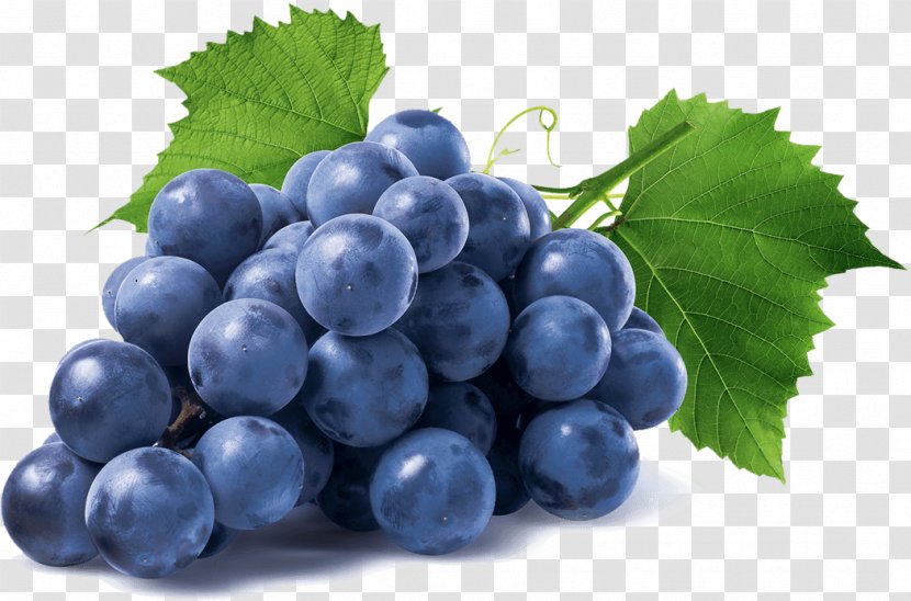 Common Grape Vine Isabella Stock Photography - Grapes Transparent PNG