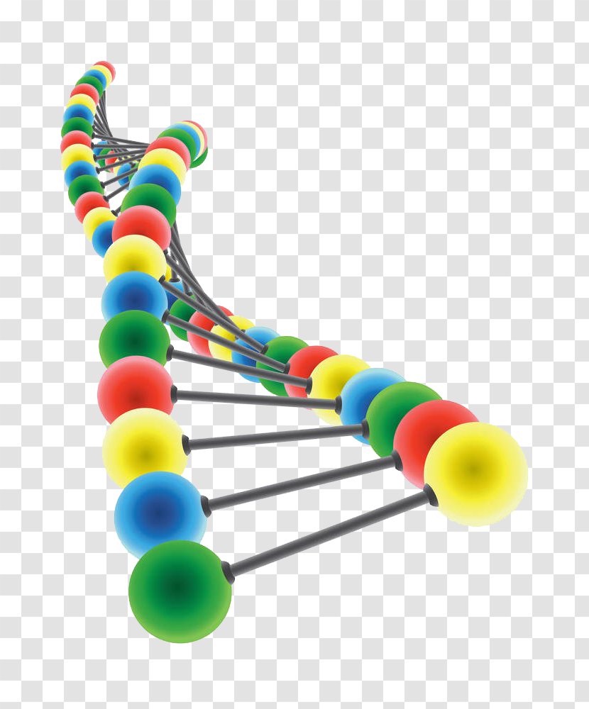 DNA Royalty-free Nucleic Acid Double Helix Clip Art - Dna - Gene Free Downloads Transparent PNG