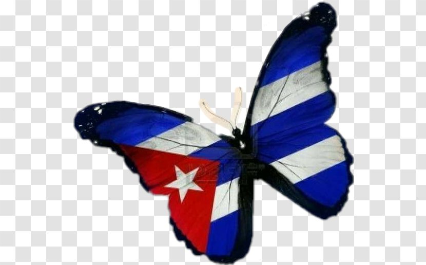 Flag Of Cuba Butterfly Stock Photography - Wing Transparent PNG