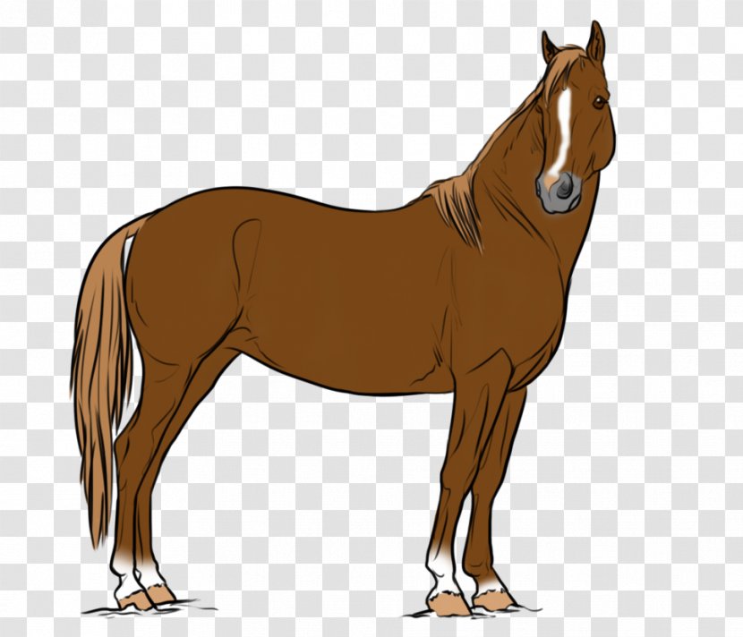 Mule Foal Stallion Mare Pony - Firefly Transparent PNG