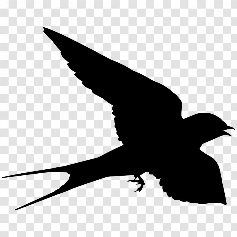 Bird Barn Swallow Falcon Cornell Lab Of Ornithology - Violetgreen Transparent PNG