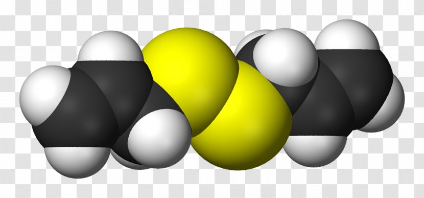 Diallyl Disulfide Allyl Propyl Garlic Allicin - Skin Transparent PNG