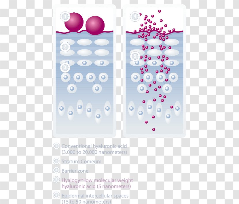 Hyaluronic Acid Skin Care Amino - Pink Transparent PNG