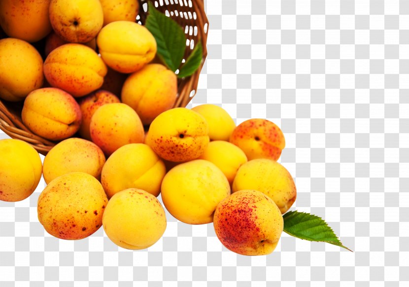 Peach Auglis Fruit Apricot - Yuzu Transparent PNG