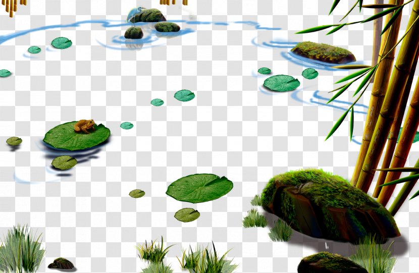Lotus Pond, Kaohsiung Lake Nelumbo Nucifera - Landscape - Cartoon Small Pond Full Of Transparent PNG
