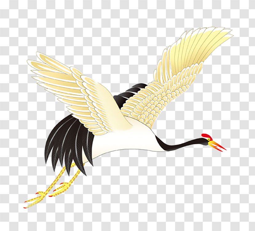 Red-crowned Crane Bird Grey Crowned Siberian - Wing Transparent PNG