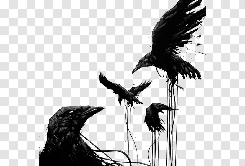 Common Raven Bird House Crow Tattoo Art - Wing Transparent PNG