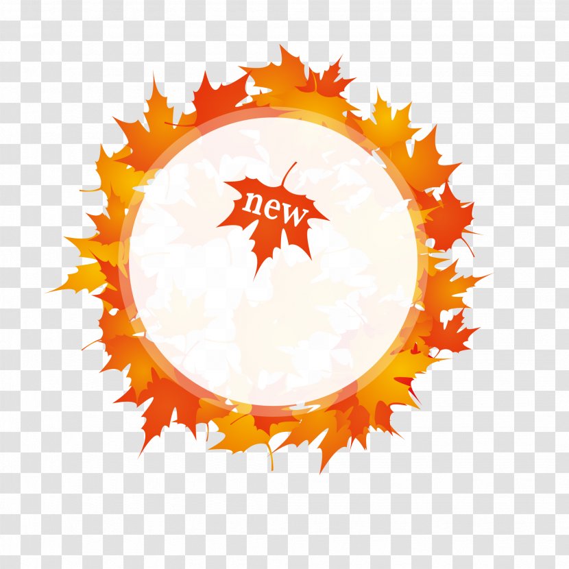 Autumn Illustration - Vexel - Maple Leaf Transparent PNG