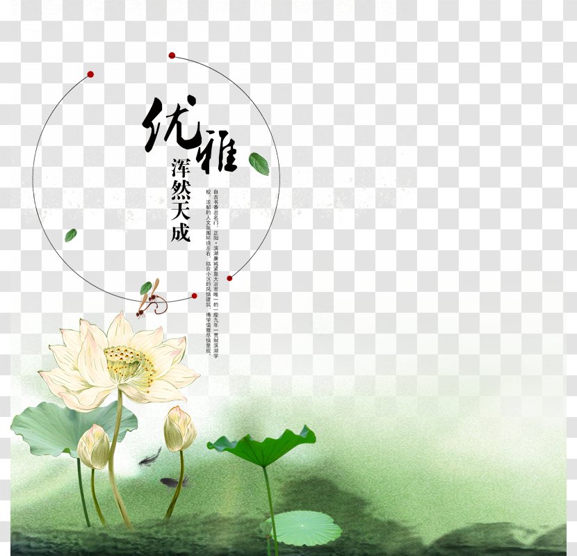 Nelumbo Nucifera Chinoiserie - Grass - Chinese Ink Painting Style Lotus Vector Image Download Transparent PNG