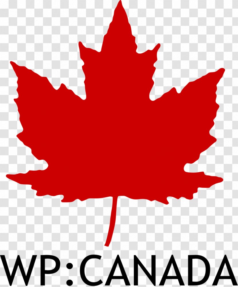 Canadair Sabre Royal Canadian Air Force Roundel - Tree - Canada Transparent PNG