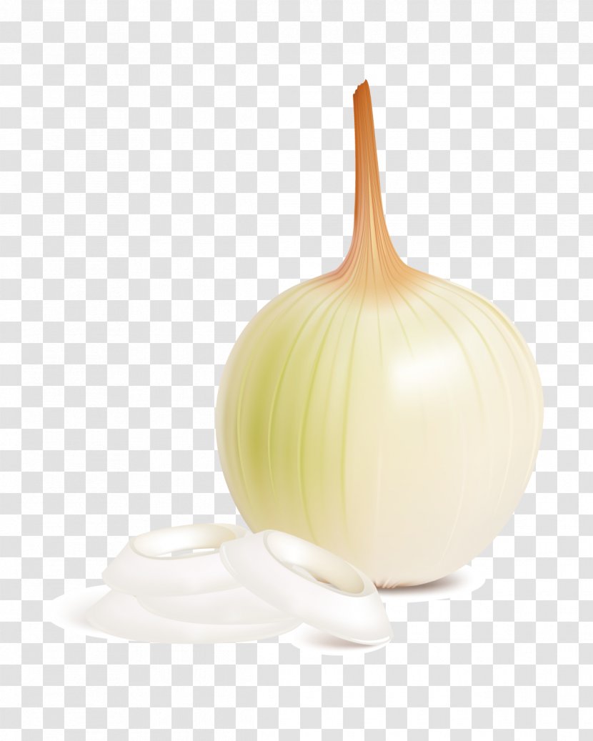Onion - Food - An Transparent PNG