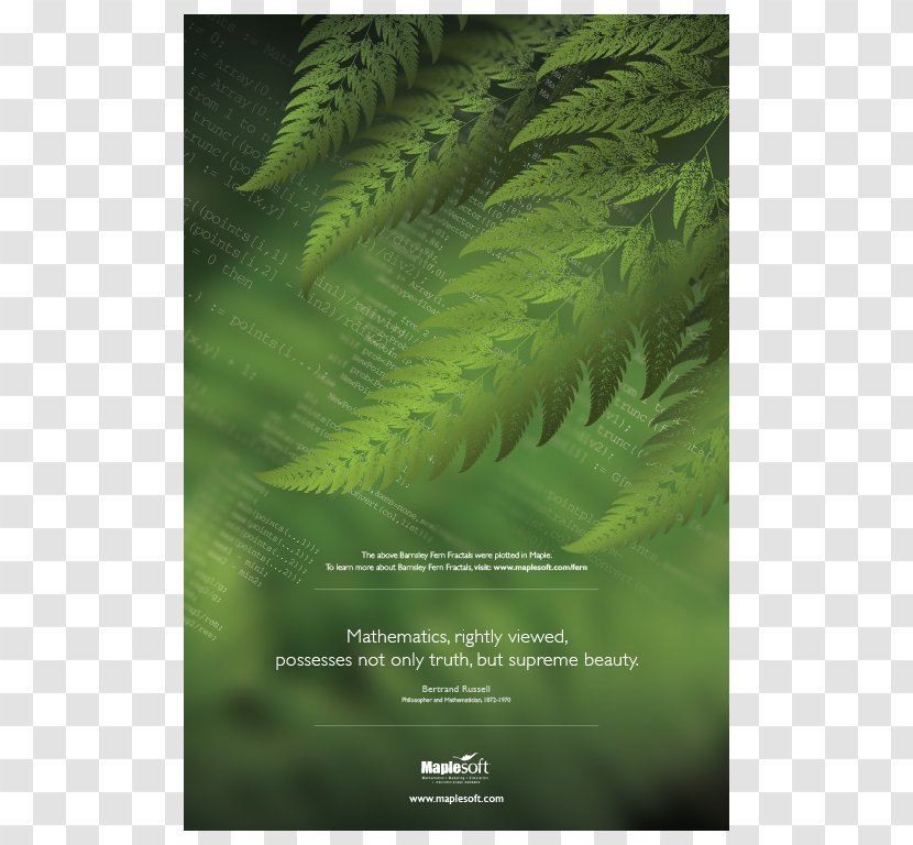 The Principles Of Mathematics Fern Maple Poster - Fractal Transparent PNG