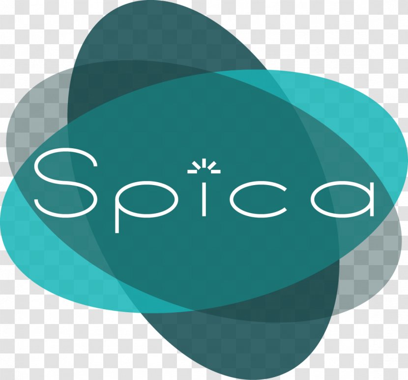 Technology SPICA Technologies Industry Logo - Tech Data Transparent PNG