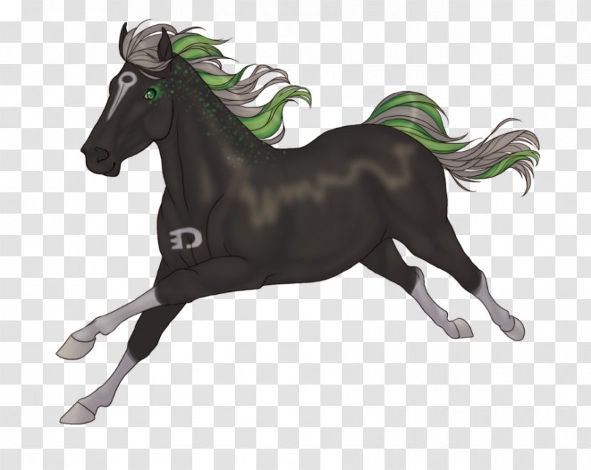 Stallion Mustang Foal Mare Pony - Pack Animal Transparent PNG