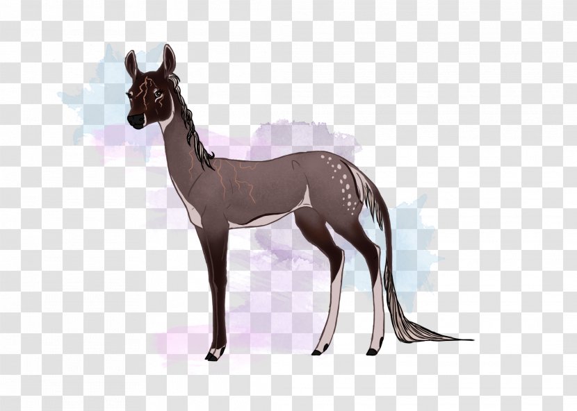 Horse Dog Mammal Animal Deer - Tail - Fawn Transparent PNG