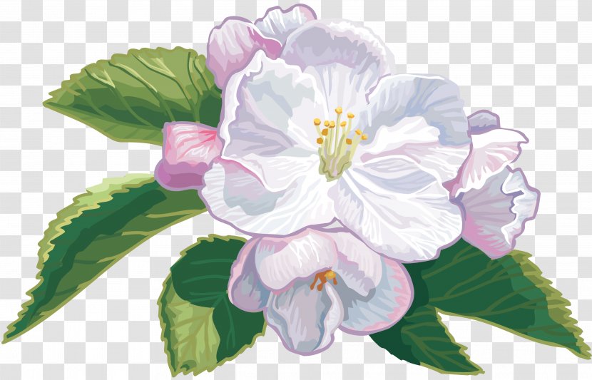 Flower Apples Color Clip Art - Raster Graphics - Kwiaty Transparent PNG