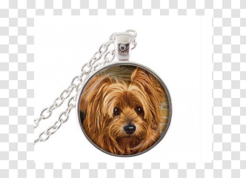 Pit Bull Charms & Pendants Necklace Jewellery Gold - Cabochon Transparent PNG