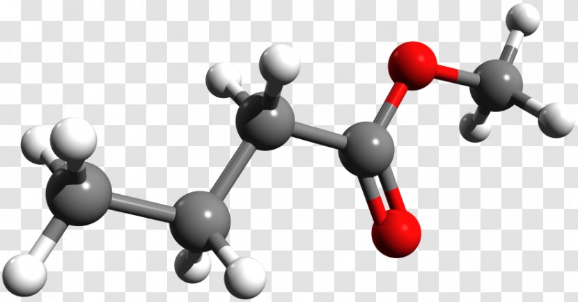 Methyl Butyrate Butyric Acid Molecule - Ethyl Transparent PNG