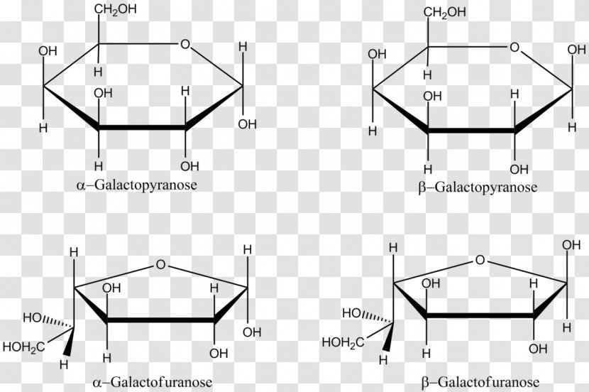 Galactose Haworth Projection Fischer Furanose Glucose - Fructose - Lactose Transparent PNG